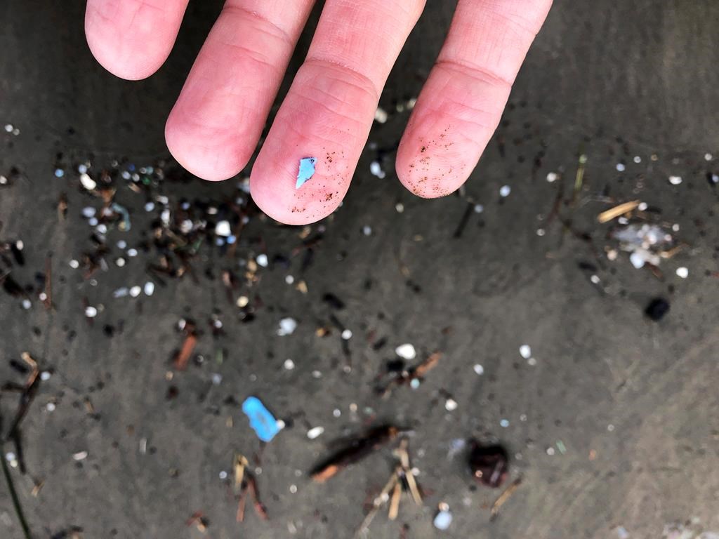 The Impact of Microplastics on Pregnancy: A Closer Look at Placental Contamination